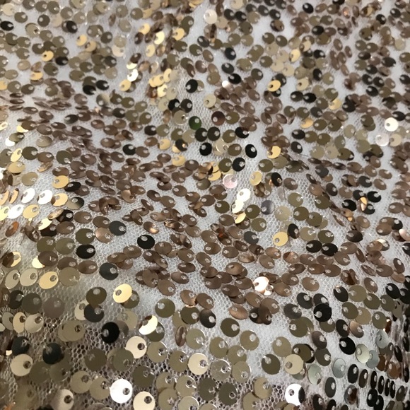 Sequin Blouse - Picture 2 of 2